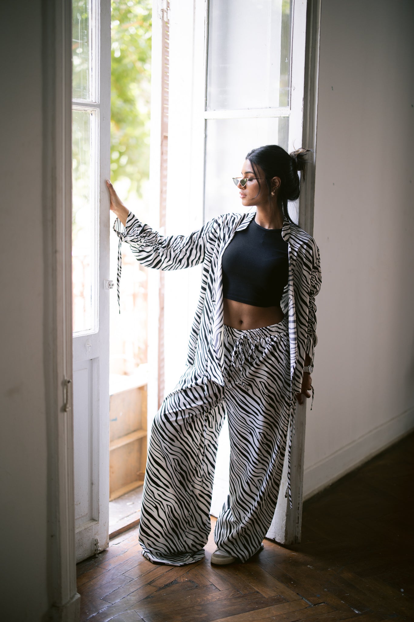 Zebra Set