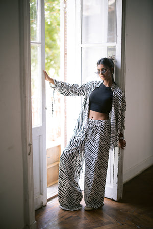 Zebra Set